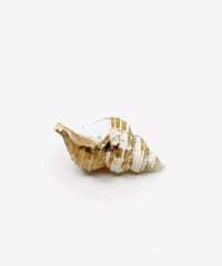 026.9＿オル太「巻貝の殻」