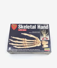 046.25＿Brisées「Lindberg Skeletal Hand リンドバーグ 1/1 人体骨格パーツ手」
