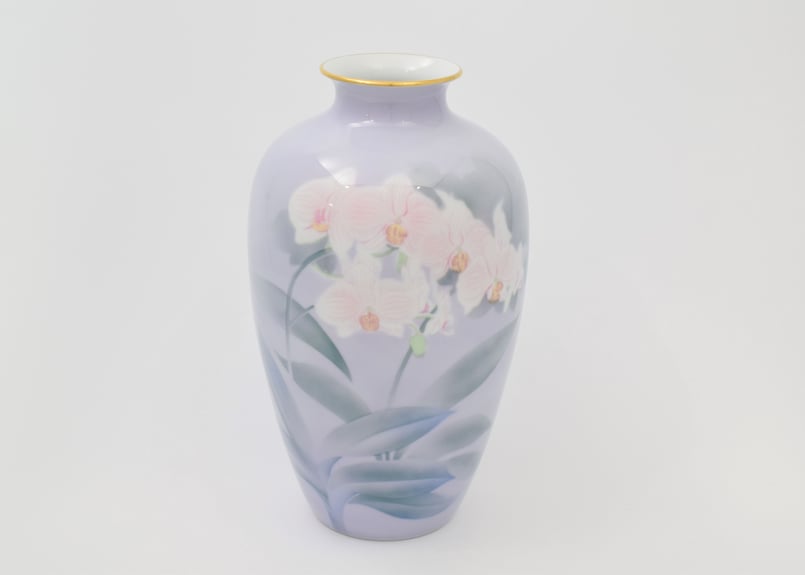 胡蝶蘭バイオ 細首10号花生（アウトレット品） | WEB有田陶器市