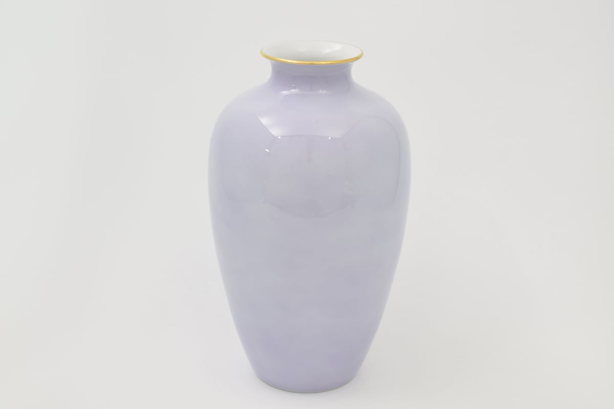 胡蝶蘭バイオ 細首10号花生（アウトレット品） | WEB有田陶器市