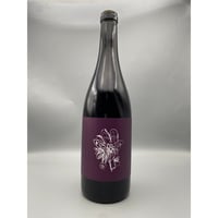 Blanc Fume De Pouilly)VDF Silex 2019 Didier Da