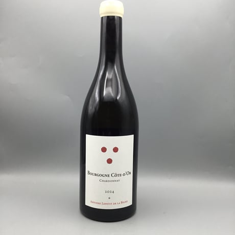 Bourgogne Cote d'Or Chardonnay 2024 / Antoine Lepetit de la Bigne アントワーヌ・ルプティ・ド・ラ・ヴィーニュ