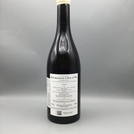 Bourgogne Cote d'Or Chardonnay 2024 / Antoine Lepetit de la Bigne アントワーヌ・ルプティ・ド・ラ・ヴィーニュ