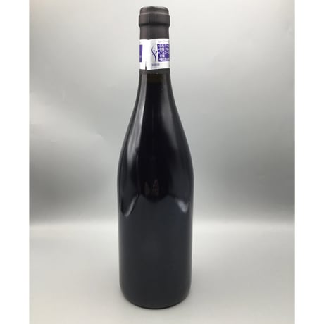 Gevrey-Chambertin 2021 Sas Rouget P&F & Meo Camuzet F&S  ジュヴレイ・シャンベルタン2本セット