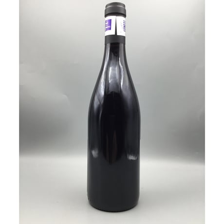 Vosne-Romanee 1er  Les Beaumonts V.V 2023  / Bruno Desaunay-Bissey  1er レボーモン  / ブリューノ・デゾネイ・ビセイ