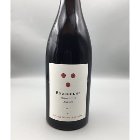Bourgogne Pinot Noir Amphore 2022 / Antoine Lepetit de la Bigne アントワーヌ・ルプティ・ド・ラ・ヴィーニュ