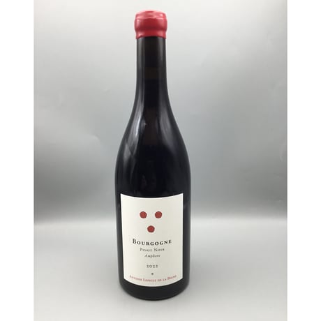 Bourgogne Pinot Noir Amphore 2022 / Antoine Lepetit de la Bigne アントワーヌ・ルプティ・ド・ラ・ヴィーニュ