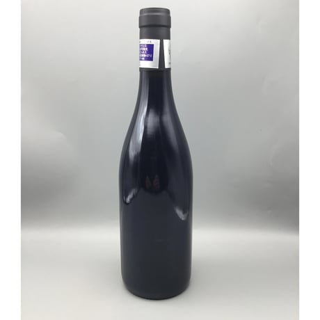 Gevrey-Chambertin V.V 2022  / Bruno Desaunay-Bissey ジュヴレイ・シャンベルタン  / ブリューノ・デゾネイ・ビセイ