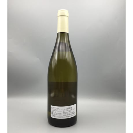 Chablis 2023/Vincent Dauvissat シャブリ 2023/ヴァンサン・ドーヴィサ