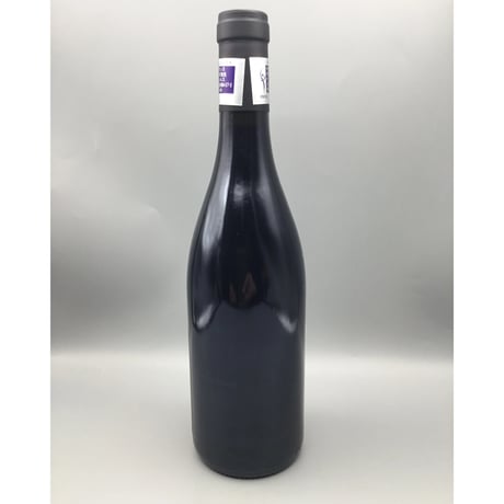 N-S-G Les Belles Croix V.V 2022  / Bruno Desaunay-Bissey NSG レ・ベル・クロワ / ブリューノ・デゾネイ・ビセイ