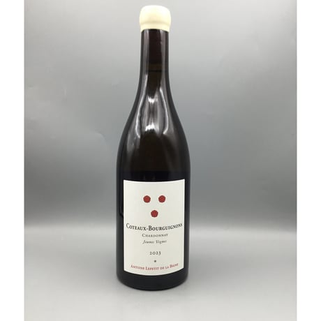 Coteaux Bourguignons Ch Jeunes Vignes 2023 / Antoine Lepetit de la Bigne アントワーヌ・ルプティ・ド・ラ・ヴィーニュ