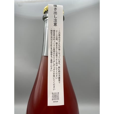 GRAPESHIP 朱2025　グレープシップ /岡山【自然派】