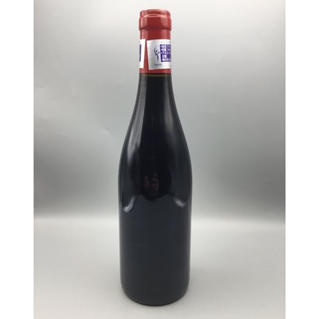 Bourgogne  Pinot Noir V.V 2020  / Bruno Desaunay-Bissey ブルゴーニュ・ピノ・ノワール  / ブリューノ・デゾネイ・ビセイ