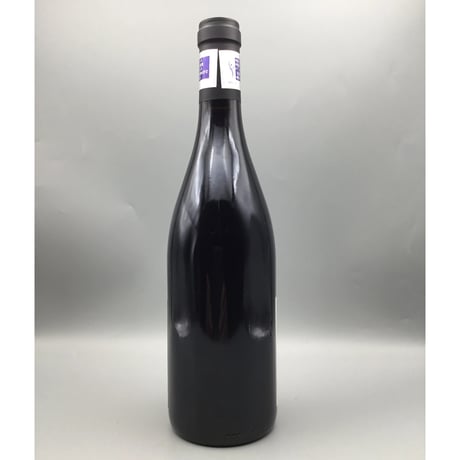Gevrey-Chambertin V.V 2023  / Bruno Desaunay-Bissey ジュヴレイ・シャンベルタン  / ブリューノ・デゾネイ・ビセイ