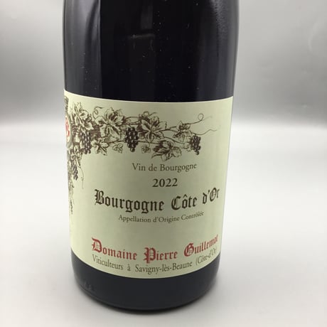Bourgogne Cote D`or PN 2022 Pierre Guillemot ピエール・ギュモ