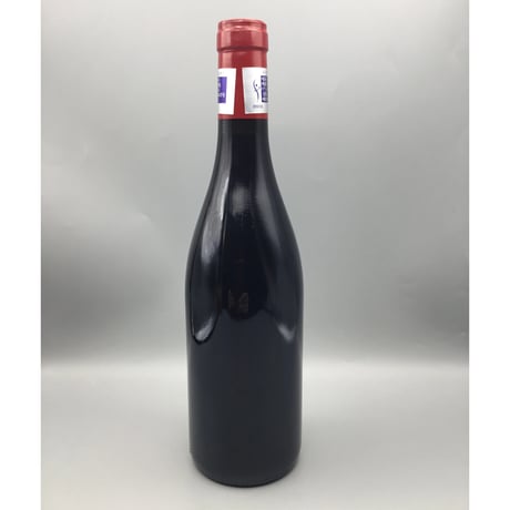Gevrey-Chambertin V.V 2021  / Bruno Desaunay-Bissey ジュヴレイ・シャンベルタン  / ブリューノ・デゾネイ・ビセイ