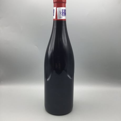 Vosne-Romanee V V 2020  / Bruno Desaunay-Bissey ヴォ―ヌ・ロマネVV  / ブリューノ・デゾネイ・ビセイ