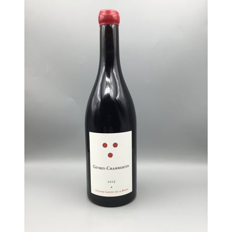 Gevrey Chambertin 2023 / Antoine Lepetit de la Bigne アントワーヌ・ルプティ・ド・ラ・ヴィーニュ