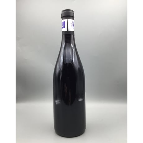 N-S-G Les Belles Croix V.V 2023  / Bruno Desaunay-Bissey NSG レ・ベル・クロワ / ブリューノ・デゾネイ・ビセイ