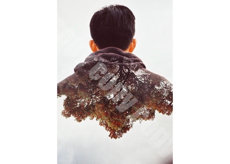 エブリデイ・アート「Tree Man」