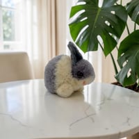 送料無料★シュタイフ★Woolen Rabbit 4㎝★ポンポンうさぎ/ぽんぽんラビット/兎★ビンテージ/アンティーク★Steiff/STEIFF