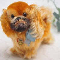 送料無料★シュタイフ★Pekinese Peky 14cm オールID's完品★ペキニーズのペキー/犬/ドッグ★Steiff★ビンテージ/アンティーク★