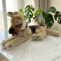 送料無料★シュタイフ★German Shepherd Arco 22cm★ジャーマンシェパード/犬/いぬ★ビンテージ/アンティーク★Steiff/STEIFF