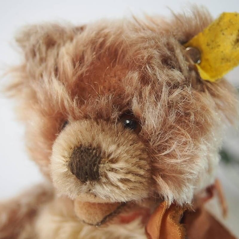 送料無料☆シュタイフ☆Boxer 10cm オールID's完品☆(最小サイズ