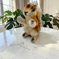 送料無料★シュタイフ★Possy Squirrel 14cm★リスのポッシー/りす/栗鼠★ビンテージ★Steiff/STEIFF