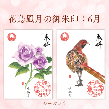 花鳥風月の御朱印【シーズン４】定期便・令和8年7月25日お申込み