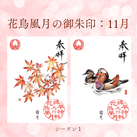 花鳥風月の御朱印【シーズン１】定期便・令和8年6月25日お申込み