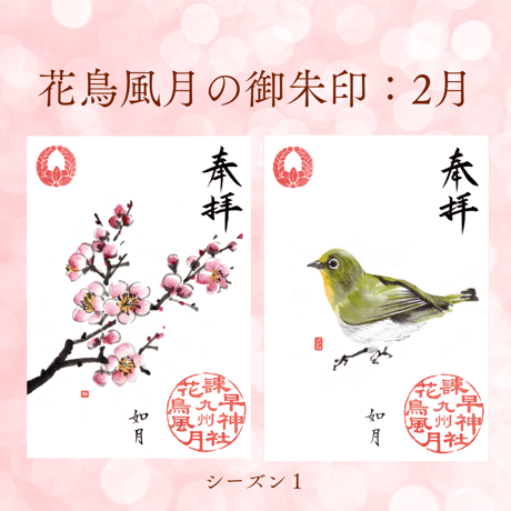 花鳥風月の御朱印【シーズン１】定期便・令和8年6月25日お申込み