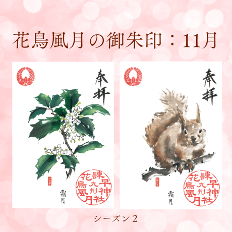 花鳥風月の御朱印【シーズン２】定期便・令和8年6月25日お申込み