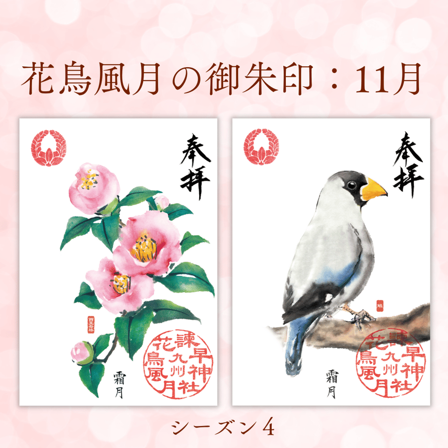 67dfb8160b01f5cd0a34dc1c