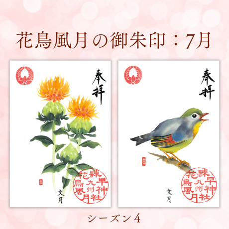 花鳥風月の御朱印【シーズン４】定期便・令和8年7月25日お申込み