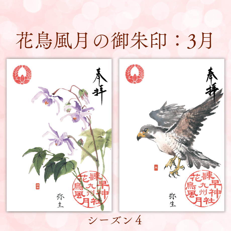 67dfb8160b01f5cd0a34dc1c