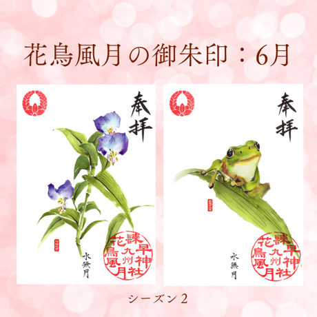 花鳥風月の御朱印【シーズン２】定期便・令和8年6月25日お申込み