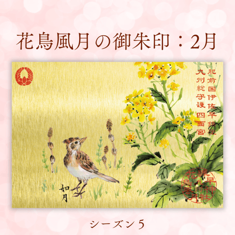 花鳥風月の御朱印【シーズン５】定期便・令和8年7月25日お申込み