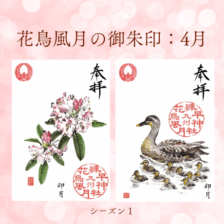 花鳥風月の御朱印【シーズン１】定期便・令和8年6月25日お申込み