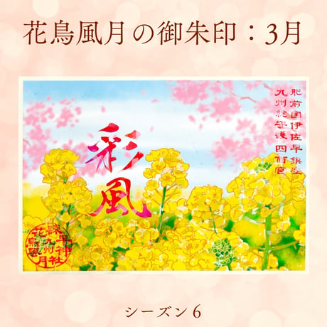 花鳥風月の御朱印【シーズン６】定期便・令和8年6月25日お申込み