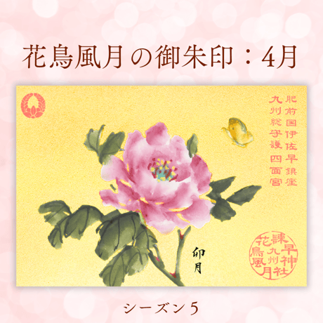 花鳥風月の御朱印【シーズン５】定期便・令和8年7月25日お申込み