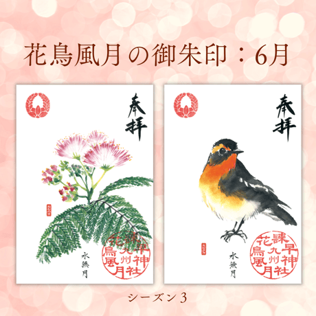 花鳥風月の御朱印【シーズン３】定期便・令和8年6月25日お申込み