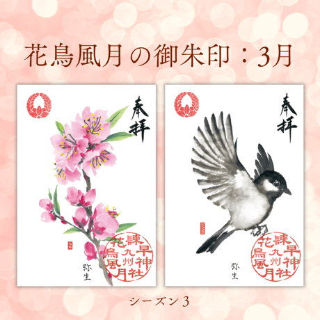 花鳥風月の御朱印【シーズン３】定期便・令和8年6月25日お申込み