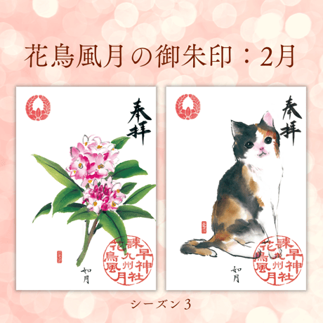 花鳥風月の御朱印【シーズン３】定期便・令和8年6月25日お申込み