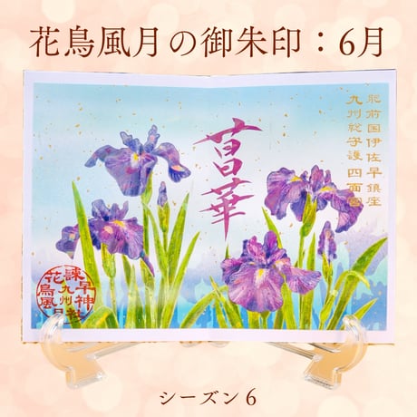 花鳥風月の御朱印【シーズン６】定期便・令和8年6月25日お申込み