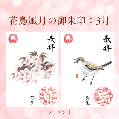 花鳥風月の御朱印【シーズン１】定期便・令和8年6月25日お申込み