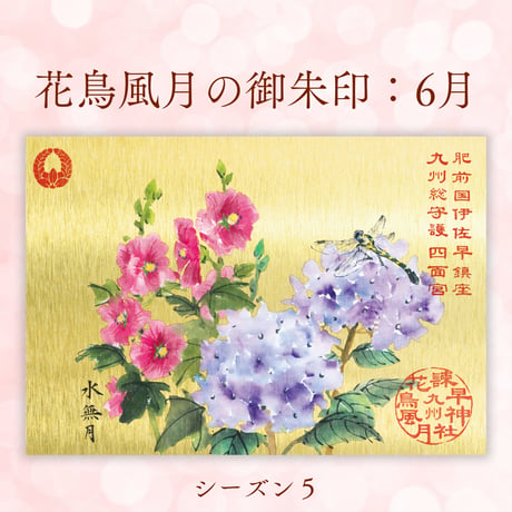 花鳥風月の御朱印【シーズン５】定期便・令和8年7月25日お申込み