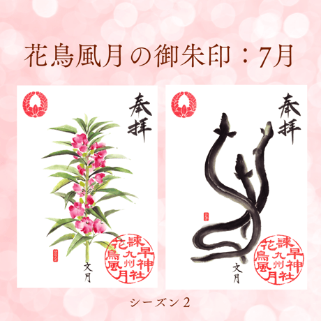 花鳥風月の御朱印【シーズン２】定期便・令和8年6月25日お申込み