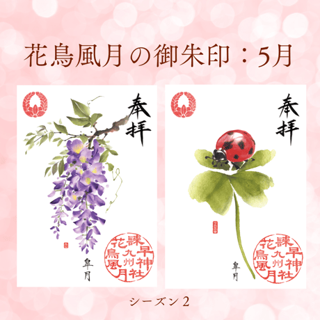 花鳥風月の御朱印【シーズン２】定期便・令和8年6月25日お申込み