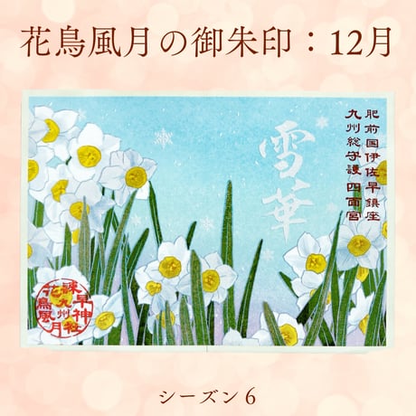 花鳥風月の御朱印【シーズン６】定期便・令和8年6月25日お申込み